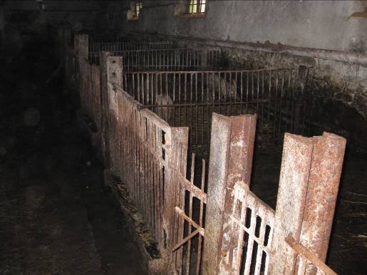 Photo: Schweinestall
