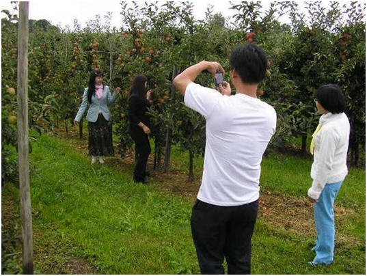 Photo: Jedes will einzeln die Verbindung mit dem Apfelbaum zeigen.