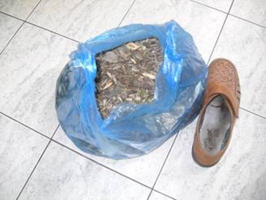 Photo18: Man gab uns einen ganzen Sack Rinden gegen Malaria. Die nehmen wir nach Angola mit. Pro Tag 3 x 4 Gra